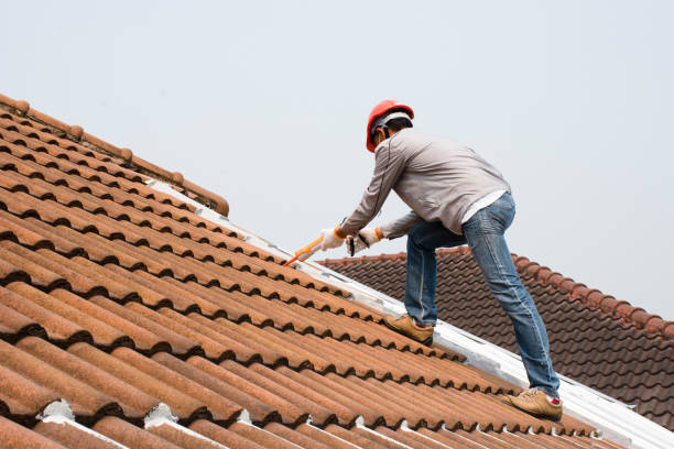 Best Cold Roofs  in Wayne City, IL